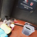 남강셀프세차 이미지