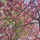 완산도서관 화장실 이미지