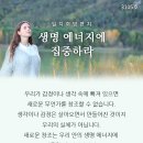 생명에너지 이미지