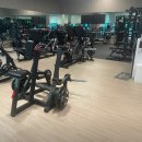 업핏 웰니스 클럽 이미지