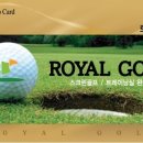 대양스크린골프 이미지