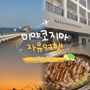 세븐일레븐(김해자이언츠점) | [미야코지마 자유여행] 1일차 일기