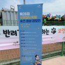 충남해양과학고등학교 | [충남 보령] 애견동반 여행 코스 추천 보령 머드축제 반려존, 일반존, 패밀리존 위치, 주차, 가격...