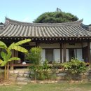 민속마을탱자나무 이미지