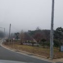 오산시술원