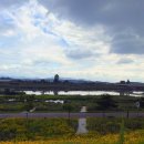 심분열족발 하양점 이미지