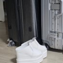 맵시유로 | W15_본식 하루전 이야기(본식 준비물 이모저모)