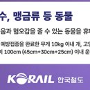 CW-0800-01 이미지