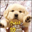 강아지와 나 이미지
