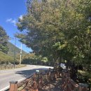 수만리 생태숲공원 | 🌳화순 힐링 여행지 추천! 수만리생태숲공원