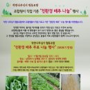 착한나무 이미지