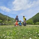 반월호수둘레길 화장실 이미지