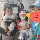 또순이분식 | 올해 첫 직관, 대구 삼성라이온즈파크 캠핑존 후기 편안한 자리에서 즐기는 직관의 재미