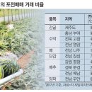 농민유통 이미지