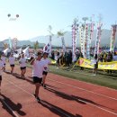 산청공설운동장 이미지