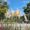 표준반상 이미지