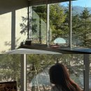 언니네부엌 | [평창 여행] 독채숙소 취호가 날숨 객실 2박 3일 후기 (네이버 예약, 히노끼탕, 취사 가능 여부)