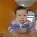 키즈몽 Daum카페