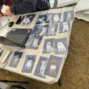 파우더-Dog | 천안 2025 K-DOG 강아지 페스티벌 오픈날 다녀온 후기