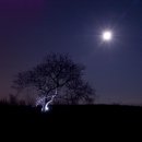 높은음자리 이미지