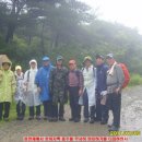 내서읍135 | 제8구간(윷판재 ∼ 호미곶)