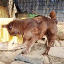 금옥이네 이미지