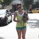 다모우리 이미지