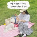 몽마르뜨 | 서울 애견동반 산책명소 몽마르뜨공원 방문 후기