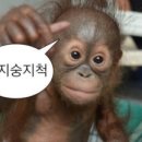 쉬다가게