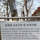 태평로55번길 이미지