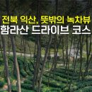 익산산림조합산림문화체험관 | 전북 익산 가볼만한곳 산림문화체험관 드라이브 코스 녹차밭