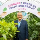 해태플라워