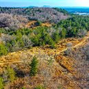 신산교차로 3 이미지