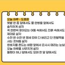 나이스유학 이미지