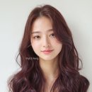 토리헤어 - 익산시 | 토리헤어