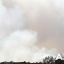 대호지축산 이미지