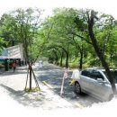 앞산맛둘레길 이미지