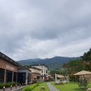 마마칼국수 이미지