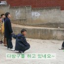 동네강아지 네이버블로그