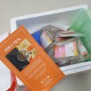 이쁘개 건강하개 | 펫피x어니스트밀 (feat.코코체험단)