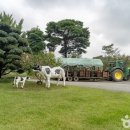 백암한우농장 이미지