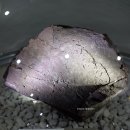 방학에 뭐 하지? 보성 비봉공룡공원 아이와 가볼만한곳