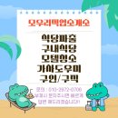 사거리직업소개소 - 공주시 | 사거리직업소개소