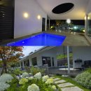 스테이 본디 이미지