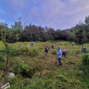 천면(부지1리) 이미지