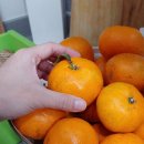 라포르하례 이미지