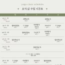 근력강화+바른자세 요가 이미지