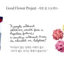 꽃그린