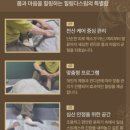 향봉로 | 경기도 화성 한국전통 마사지 힐링다스림 후기