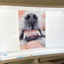 양주 온 동물병원 이미지